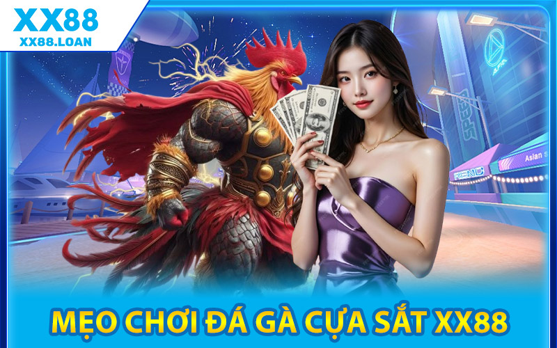 Đá Gà Cựa Sắt XX88 – Cổng Cược Xanh Chín Tỷ Lệ Thắng Cao 3 Mẹo Chơi Đá Gà Cựa Sắt XX88