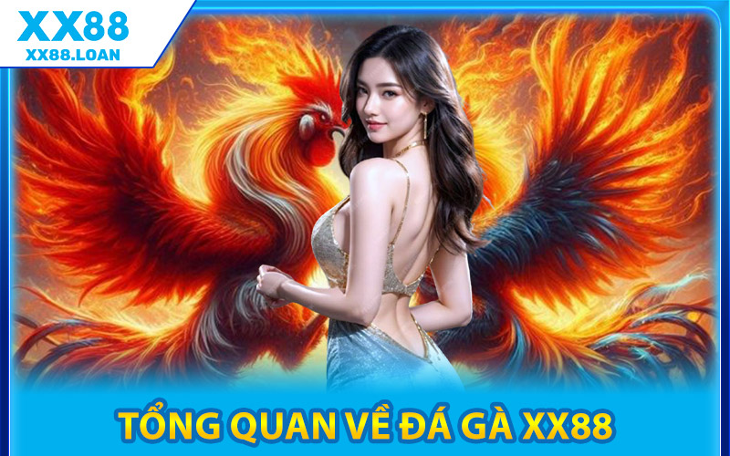 Tổng Quan Về Đá Gà XX88